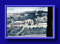 Thumbnail Church of All Nations and Garden of Gethsemane
